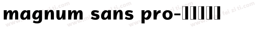 magnum sans pro字体转换